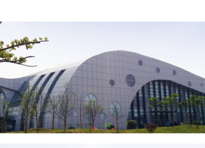 阿里会议中心外景网架工程
